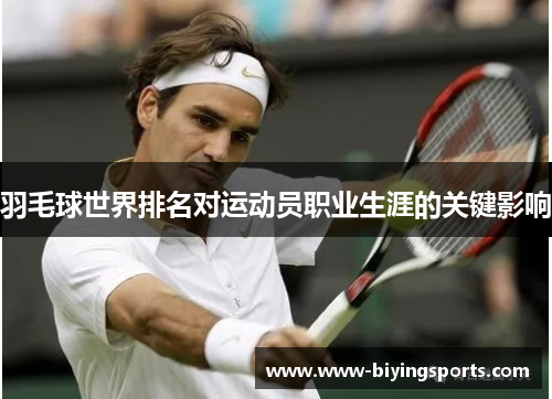 羽毛球世界排名对运动员职业生涯的关键影响