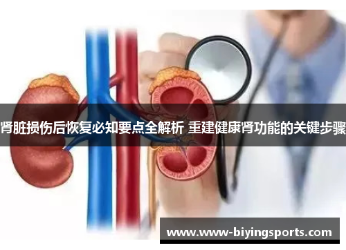 肾脏损伤后恢复必知要点全解析 重建健康肾功能的关键步骤