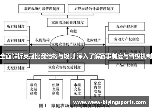 全面解析英冠比赛结构与规则 深入了解赛事制度与晋级机制