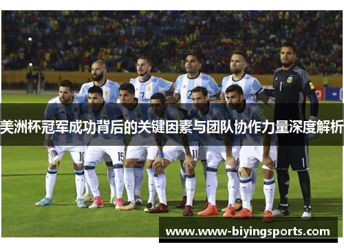 美洲杯冠军成功背后的关键因素与团队协作力量深度解析 美洲杯冠军成功背后的关键因素与团队协作力量深度解析